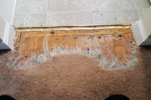 Carpet Repair, Carpet Stretch & Patch