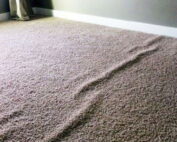 Carpet with Wrinkles