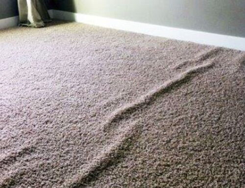 Top 3 Benefits of Carpet Stretching