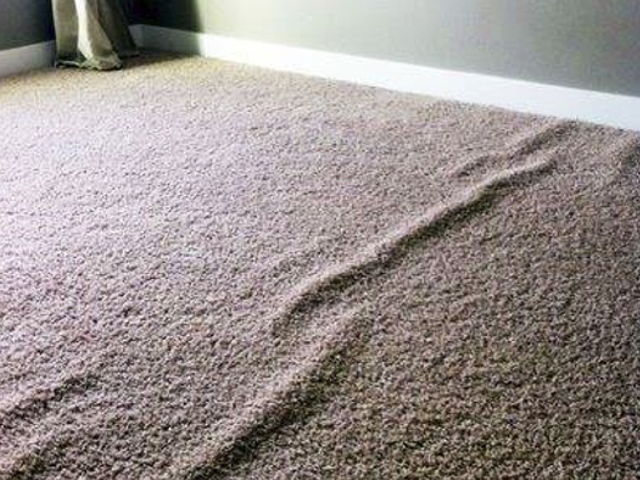 Carpet with Wrinkles